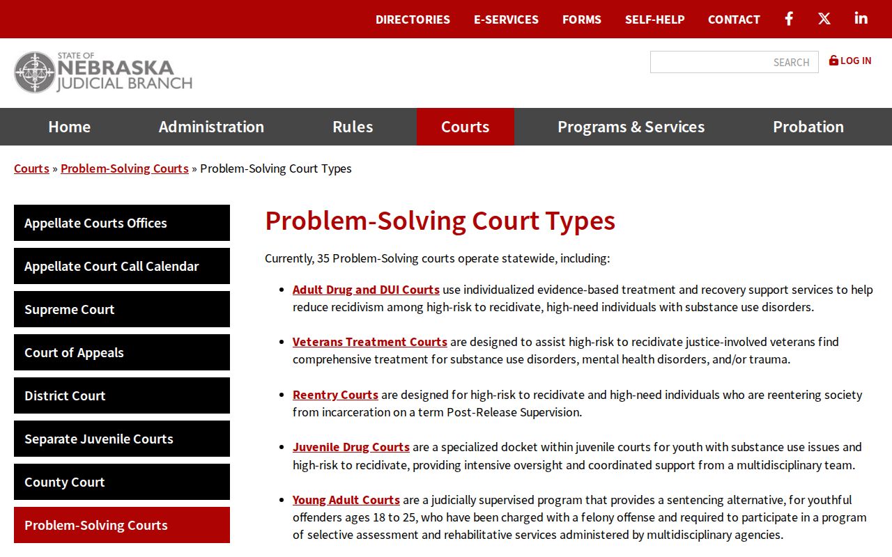 Dawson County civil docket problem-solving court types