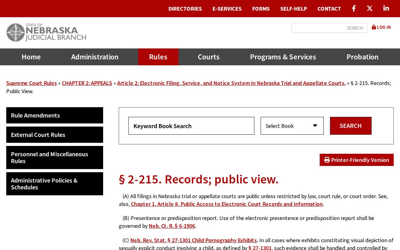 Dawson County court records source on public electronic filing view