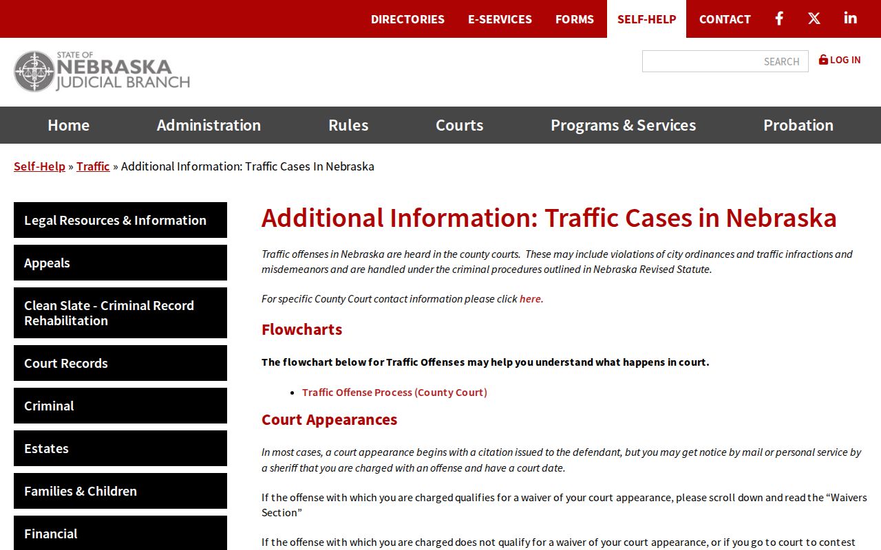 Dawson County court records source for traffic case information