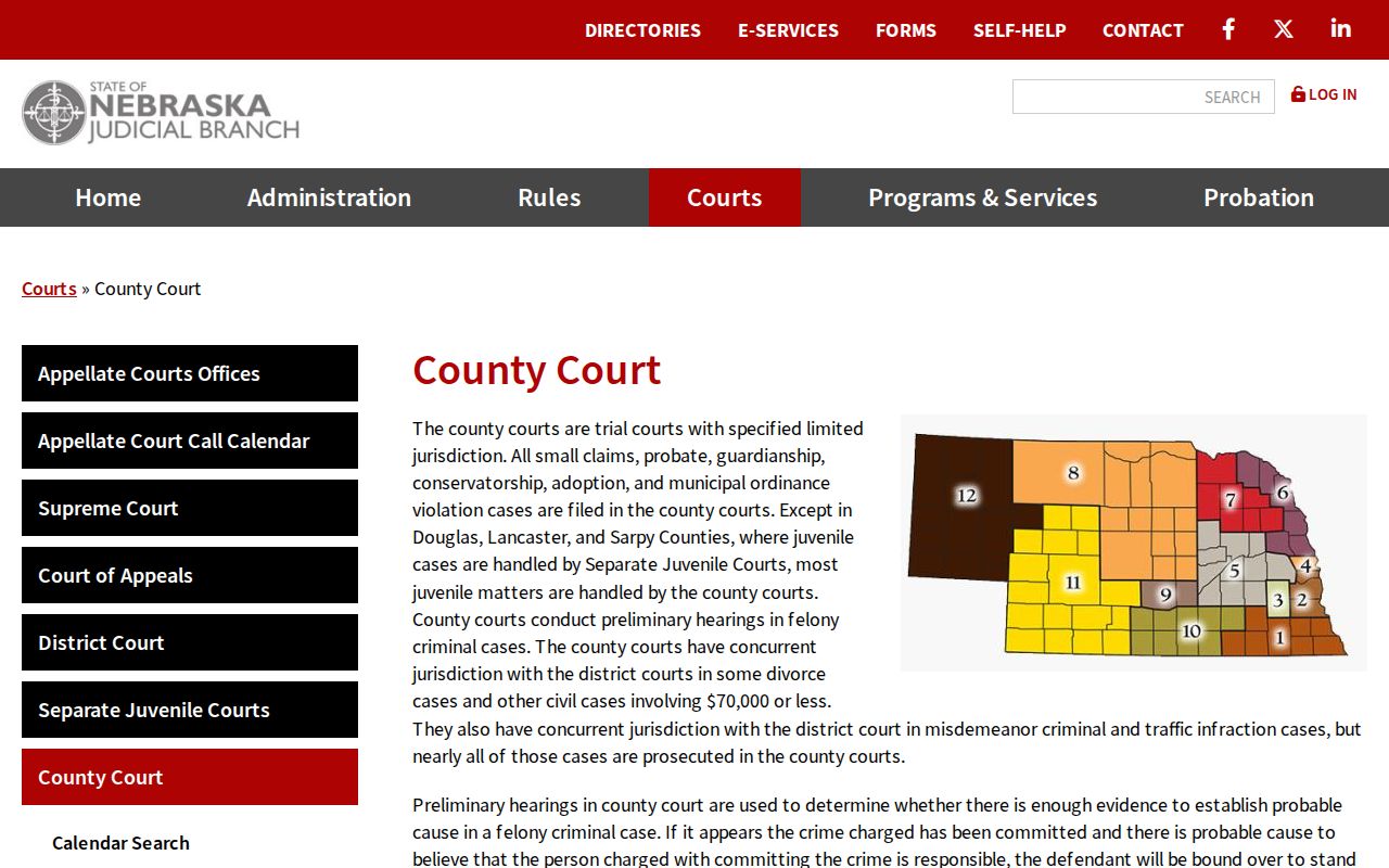Dawson County court docket county court jurisdiction overview
